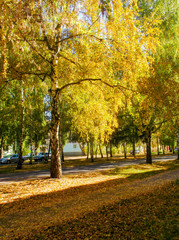 Autumn street