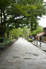 stone paved road with trees