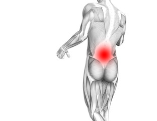 Conceptual back human anatomy with red hot spot inflammation articular joint pain or spine health care therapy or sport muscle concepts. 3D illustration man arthritis or bone sore osteoporosis disease