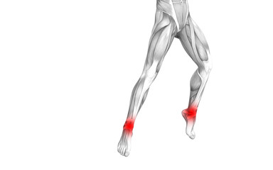Conceptual ankle human anatomy with red hot spot inflammation or articular joint pain for leg health care therapy or sport muscle concepts. 3D illustration man arthritis or bone osteoporosis disease