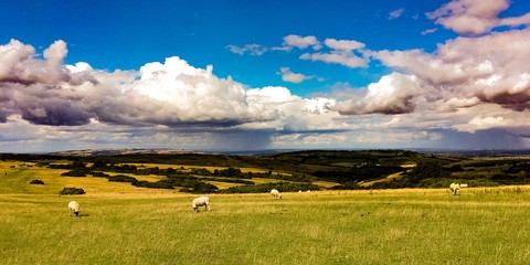 Field,clouds,ranch,farmland,England,sheep,farming,Gloucestershire 