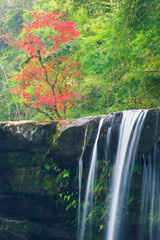 Gorgeous waterfall and maple trees in autumn.