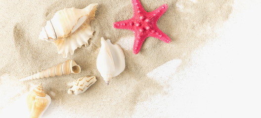 Travel and vacation. Vacation season. Summer holiday background. Sea card with sand, shells and starfish on white background. Flat lay, top view, copy space. banner 