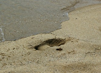 Italy, Elba Island: Footprint on the sand.