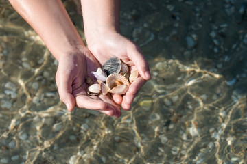 seashells and sand, seashells in hands on the background of the sea, family, father's and son's hands, child and parents on a trip, the ocean seashore.