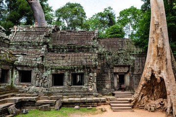 Fototapeta premium angkor