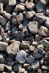 Eine Kollektion von unterschiedlichen Steinen - Hintergrund aus Steinen