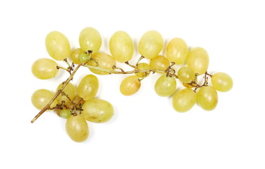 White grapes isolated on white background, top view
