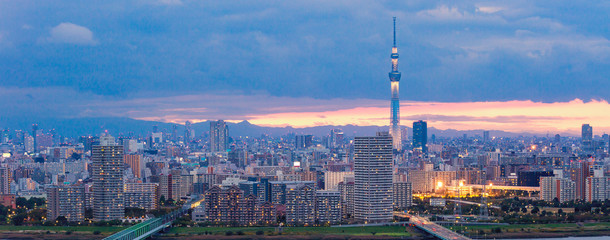 Panorama view of Tokyo Skyline at twilight Japan