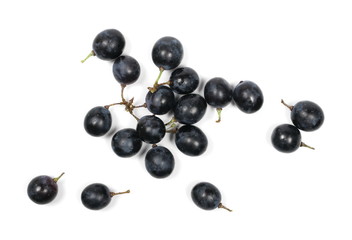 Dark grapes isolated on white background, top view