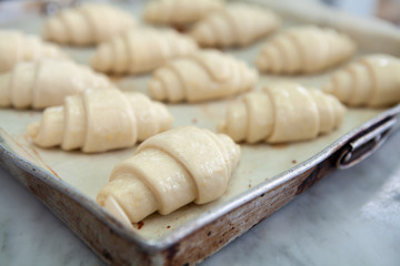 Raw shaped and proofed croissant doughs on the baking sheet in a baking tray made by pastry chef. Ready to bake into delicious and buttery croissants. All look very tasty and delightful. Natural light
