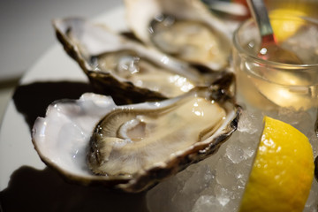 Tasty fresh oysters close-up on ice. Raw oysters are packed with nutrition, high in calcium, potassium, magnesium, vitamin and mineral. Flavor are sweet and refreshing. Believed to be an aphrodisiac.