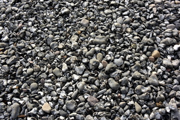 Feuersteinflächen am Strand von Sassnitz