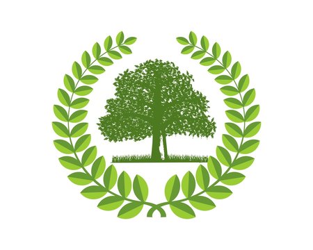 Green oak capital