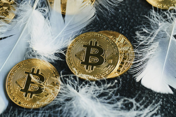 Bitcoin 金貨 仮想通貨 ゴールド 羽根