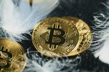 Bitcoin 金貨 仮想通貨 ゴールド 羽根
