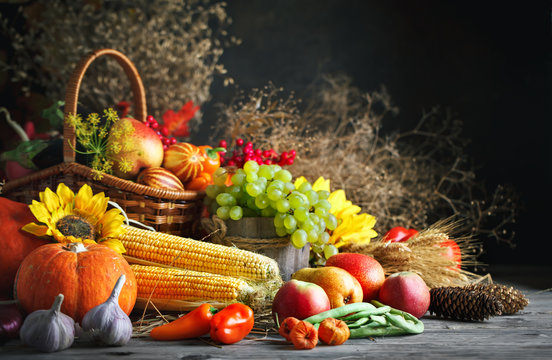 Happy Thanksgiving Day background, wooden table decorated with Pumpkins, Maize, fruits and autumn leaves. Harvest festival. Selective focus. Horizontal. Background with copy space.