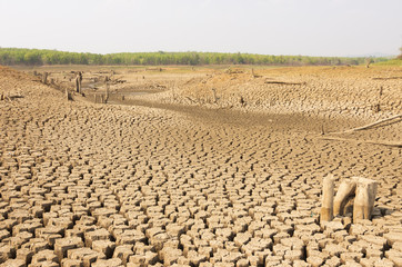 Global warming, Drought.
