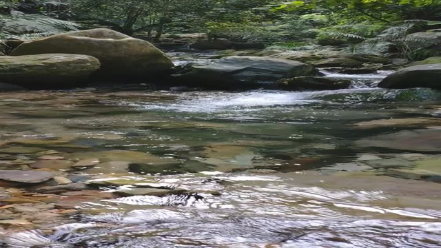 Pure fresh water waterfall in forest