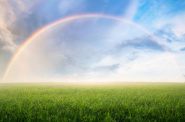 Rainbow with meadow.