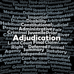 Adjudication word cloud