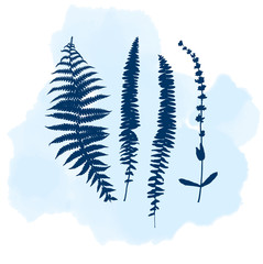 Botanical illustration with herbs, plants, flowers and leaves. Isolated vector silhouettes on watercolor splash background. Graphic design for background, card, web banner, poster, invitation.