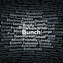 Bunch word cloud