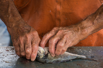 A man's hands cleaning a fish in a market