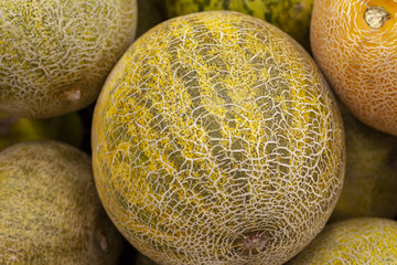 Fresh juicy melon on the counter of the store. View from above.