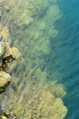 background - transparent greenish water with sunlight reflecting on the shore of a clean mountain lake