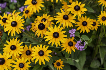 Park Guell in Barcelona Catalonia