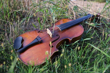 instrument, skrzypce