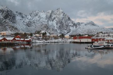 Fototapeta premium lofoten ballstad harbor