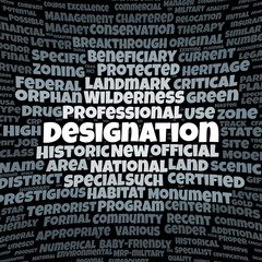 Designation word cloud