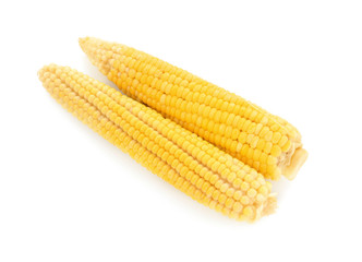 Tasty corn cobs on white background