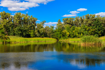 Summer landscape with beautiful river, green trees and blue sky