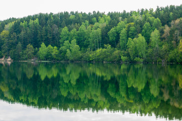 Fototapeta premium Green Lakes, six lakes in Verkiai Regional Park