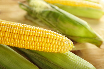 Fresh corn cob, closeup