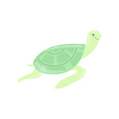Lovely turtle, cute sea creature character vector Illustration on a white background