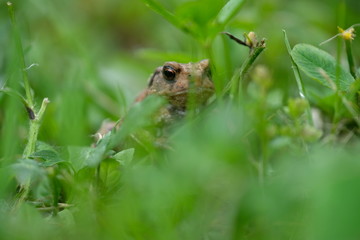 Hide and Seek