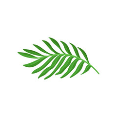 Bright green leaf of tropical plant. Natural decorative element. Flat vector design for promo poster or flyer