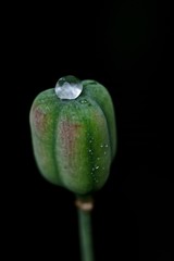 Beauty of a waterdrop