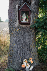 Saint shrine on the tree
