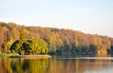 Golden autumn in Tsaritsyno, Moscow, Russia. Trees in autumn decoration reflected in the mirror of the pond