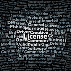 License word cloud