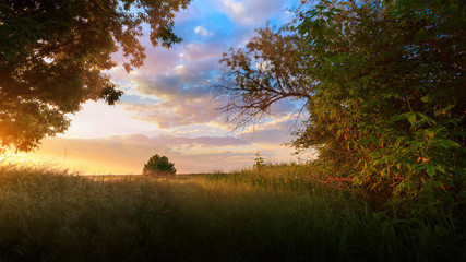 exit the forest to the field, the sun at sunset / bright scenery out of the city Ukraine