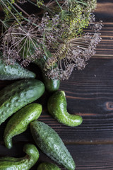 Fresh green cucumber with flowering dill on a wooden background