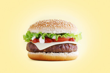 American hamburger with cutlet and vegetables