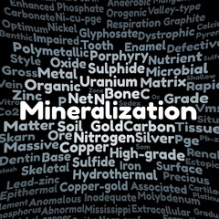 Mineralization word cloud