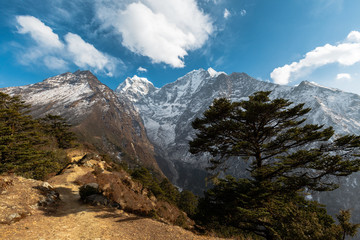 Fototapeta na wymiar from monastery Tengboche on route to Everest, Nepal on the right side of the tree , in front of the mountain